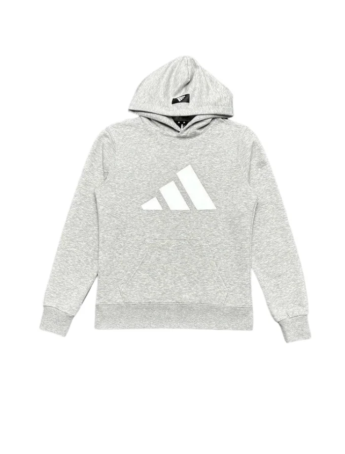 ADDS Future Logo Basic Hoodie - Gri - Görsel 3